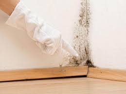 Best Mold Removal for HVAC Installations  in Elko, NV